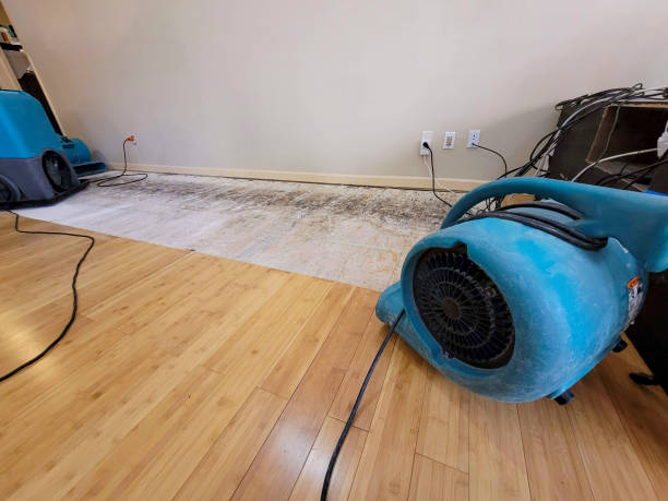 Professional Water Damage Repair technician working in Washington, VA